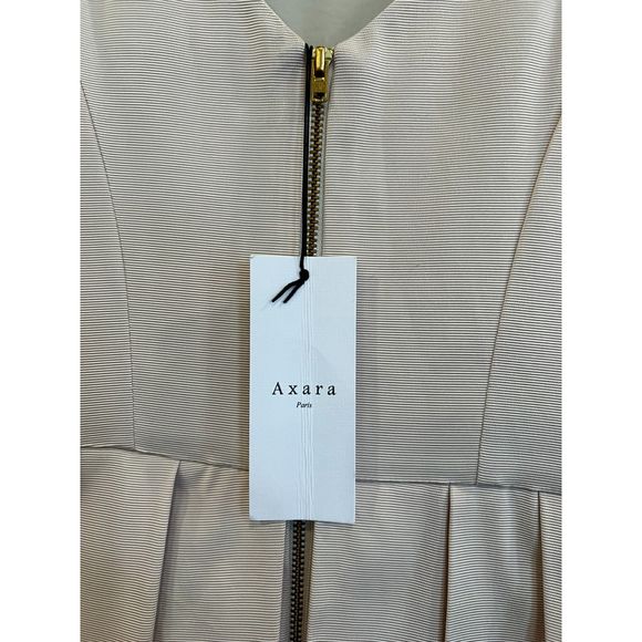 NWT Axara Paris Pleated Nude Dress Sheer Panels Size 10 a997 - Picture 8 of 11